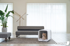 외출금지 반려동물 품은 쿠쿠 펫 드라이룸 1분기 판매량 13% 증가