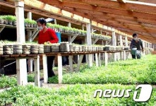 자력갱생으로 흥하자…남천광산마을 답사기