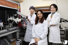 KAIST, 두뇌 인지 기능 높이는 신경 펩타이드 발견