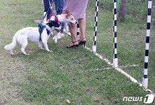 경기도, 반려동물테마파크 착공…강아지와 맘 놓고 소풍 기대