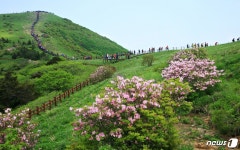 รูปภาพผลการค้นหา Naver 1