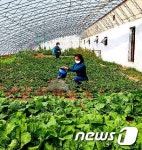 북한 후방사업 잘하는 속도전청년돌격대 제7여단