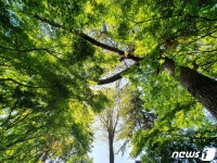 [28일 날씨] 일교차 10도 이상 건강 유의…일부지역 강풍도