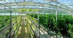 [화보] 과학농사 열 올리는 북한이 꾸린 중평남새온실농장