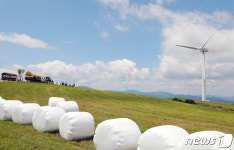 대관령 청정 하늘목장, 사회적 거리두기 속 연휴 정상 운영