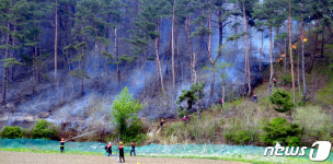 경북 봉화 소천면 산불…주불 잡고 잔불 정리중