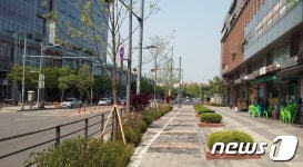 안양시, 평촌대로 등 조경수목 2만1000여 그루 식재