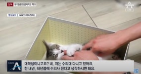 갑수목장 수의대생 유튜버 동물학대 논란…구독자 급감[펫톡톡]
