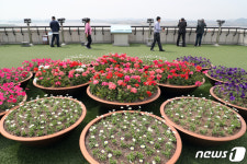 코로나19로 휴관한 통일전망대 운영 재개