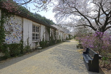 여전히 봄이 기다리는 곳, 국내 이색 골목 6선