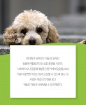 [펫카드]1500마리 보호소 개들이 새 가족을 만난 기적