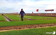 북한 농업에서 물이 생명수…모내기철 물관리 당부