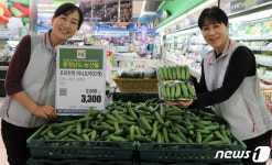 [단신]롯데마트 노은점, 충남 우수 농산물 ‘오감 물산전’