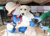 오늘은 꽃단장 하는 날!