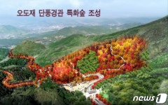 함양군, 지리산제일문 전국 최대 오도재 단풍경관 특화숲 박차