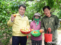 자두 농가 방문한 김충섭 김천시장