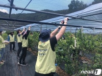 철도공단, 금강모치마을 봉사활동 실천