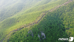 대봉산을 달리는 모노레일