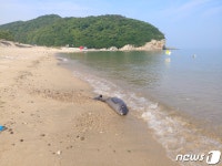 Naver хайлтын үр дүнгийн зураг 2