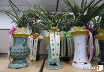 문재인 대통령이 보낸 축하 난