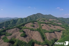 국민 인식 바꿔요 충주국유림관리소 친환경 벌채