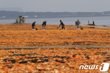 [제주Q&A]감귤포장학과는 없지만…제주에만 있는 특별한 부서
