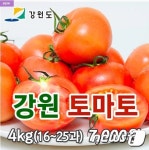 강원 토마토 특판 41초 만에 품절 인기몰이
