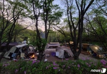 비대면 캠핑 단양 캠핑장 인기…주말이면 사이트 매진