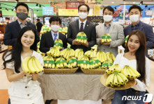 롯데마트에서 베트남산 바나나 드세요