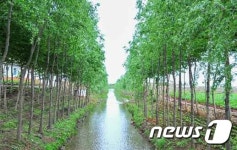 북한, 삼봉협동농장 소개…사과 특산지