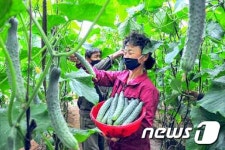北 삼봉협동농장, 다각적 토지 이용으로 자력갱생 성취