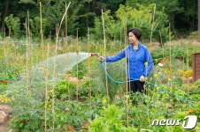 김수영 양천구청장 쑥쑥 자라라