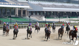 넉달만에 경마 재개 텅빈 관람석