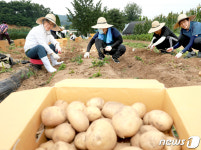 농촌 일손 도우며 구슬땀 흘리는 권익위원회