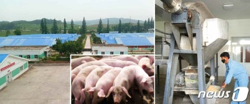 北 강서돼지농장…먹이 문제 해결에 큰 힘