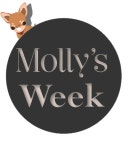 댕댕이 사료 할인받는 날…이마트, 매달 1~10일 몰리스위크 연다