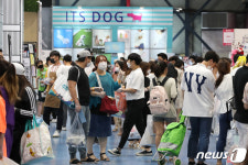 2020 케이펫페어