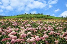 한양, 솔라시도 태양광발전소 준공…신재생 발전사업 본격 진출