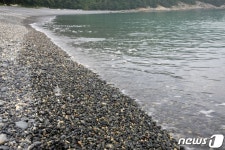 갯돌해변 보길도 예송해수욕장 블루플래그 인증 추진