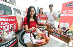 사과즙 발효시킨 리얼 사이더 매그너스