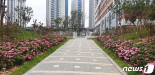 인천 송도국제도시 8공구에 축구장 3배 완충녹지 조성