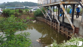 화성시, 섬유용 세제 원료 무단 방류 업체 적발…물고기 폐사