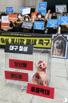 동물단체 대구 칠성 개시장 폐쇄하라
