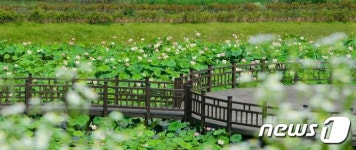 세종 운주산성·고복자연공원 등 언택드 관광지 100선에 선정