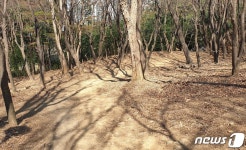 전주 덕진구, 건지산길 등산로 정비에 2억 투입