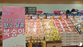 고품질 고흥산 복숭아 10톤, 롯데마트·롯데슈퍼에 납품