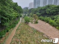 부산 호우경보로 수위 상승한 해운대구 춘천