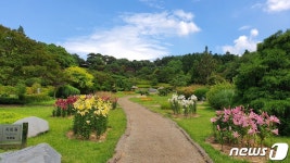 안면도 자연휴양림·수목원 새 단장…조형 향나무 등 마련