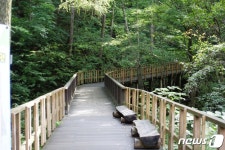 코로나 피해 숲 탐방 국립횡성숲체원 큰 인기