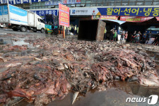 수산 도매시장 상인들 격한 저항에 대구시 행정대집행 중단(종합2보)